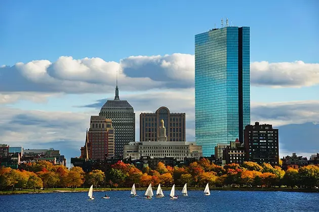 Feuillage à l'urbain à Boston