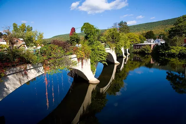 Il fiore del ponte di Shelburne