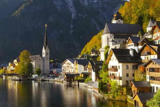 HALLSTATSKÝ LES