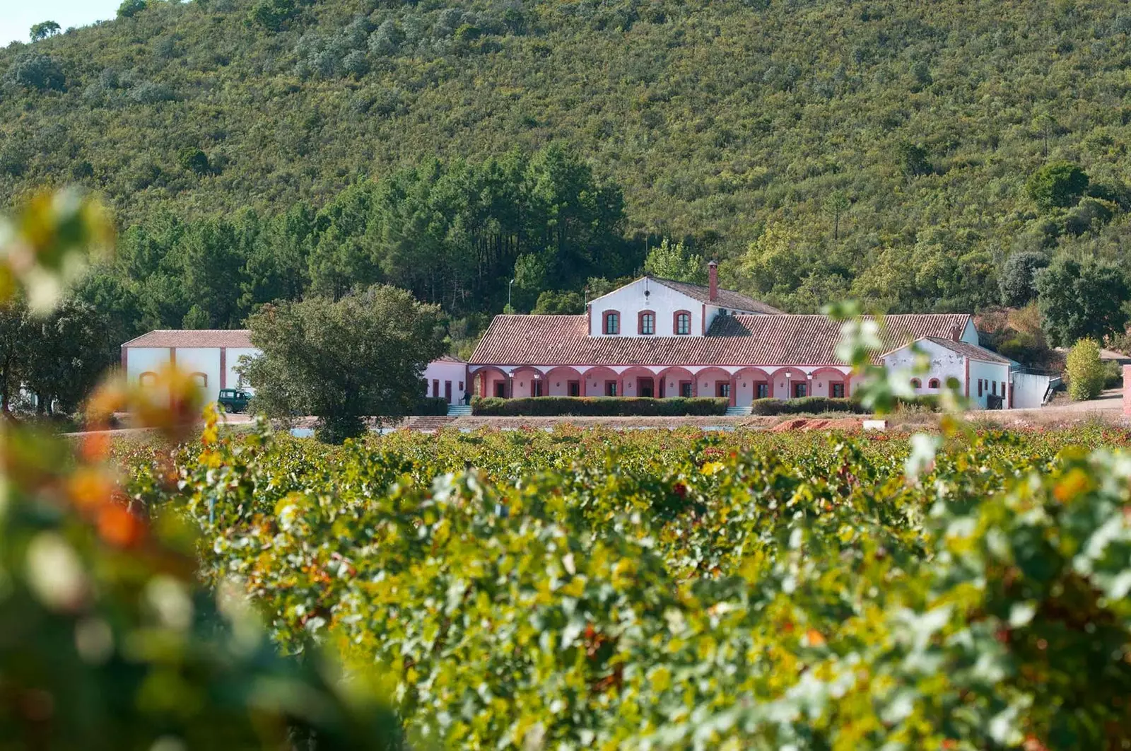 Le domaine de Dehesa del Carrizal