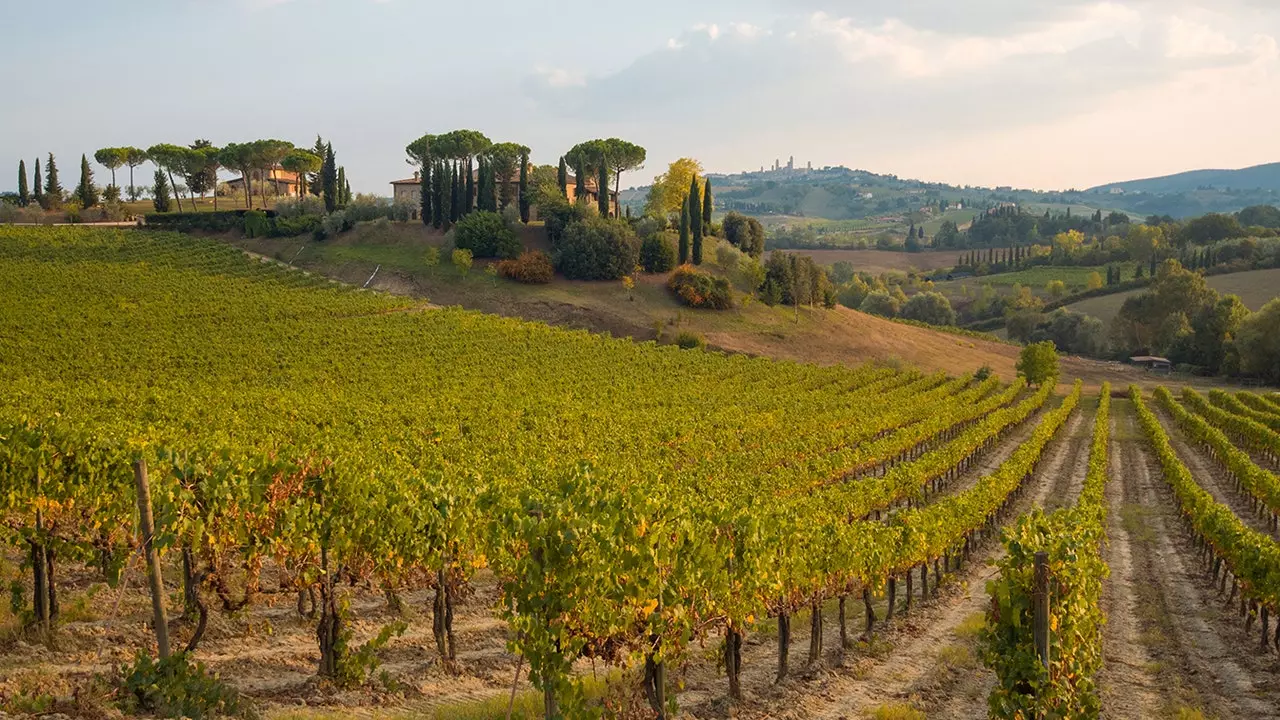 En biltur mellom vingårder i Toscana