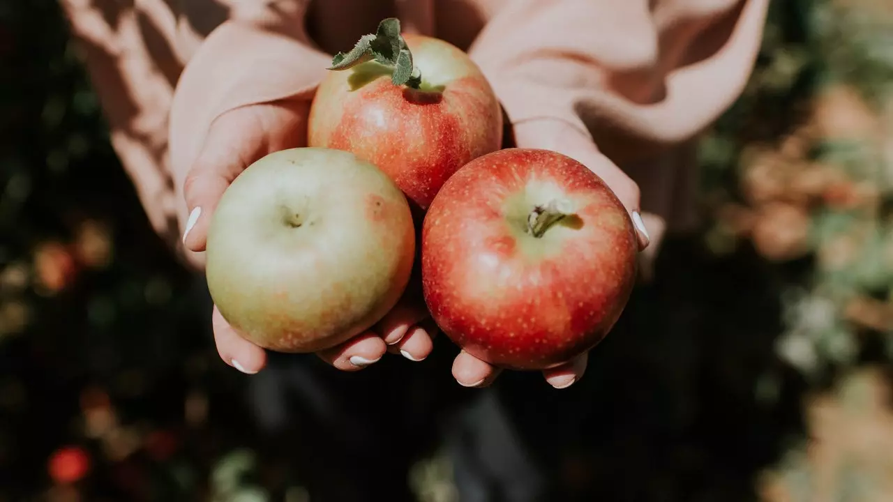 פארוואס האָבן מיר ערלויבט אַלע apples צו קוקן די זעלבע?