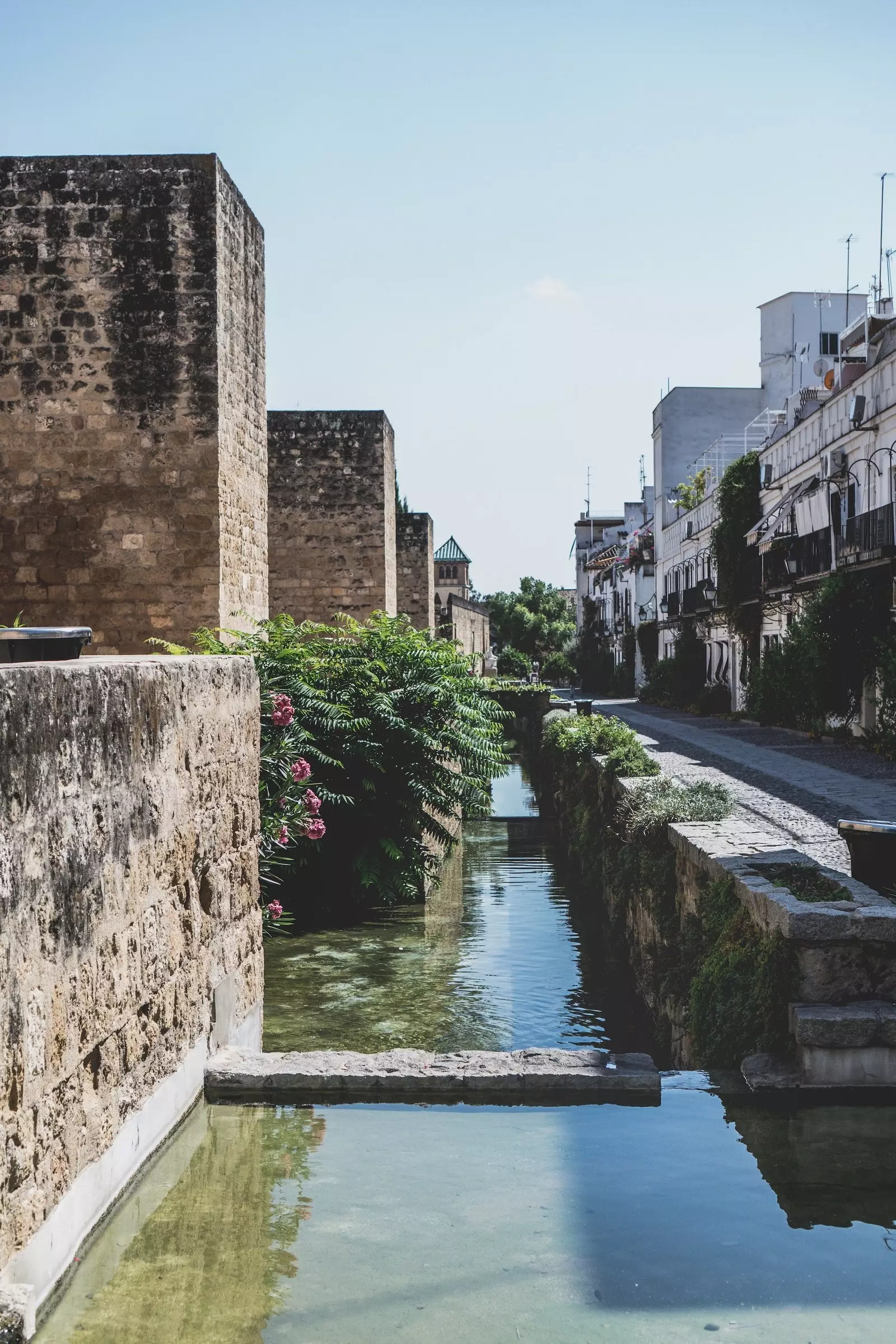 Walls and Almodóvar Gate