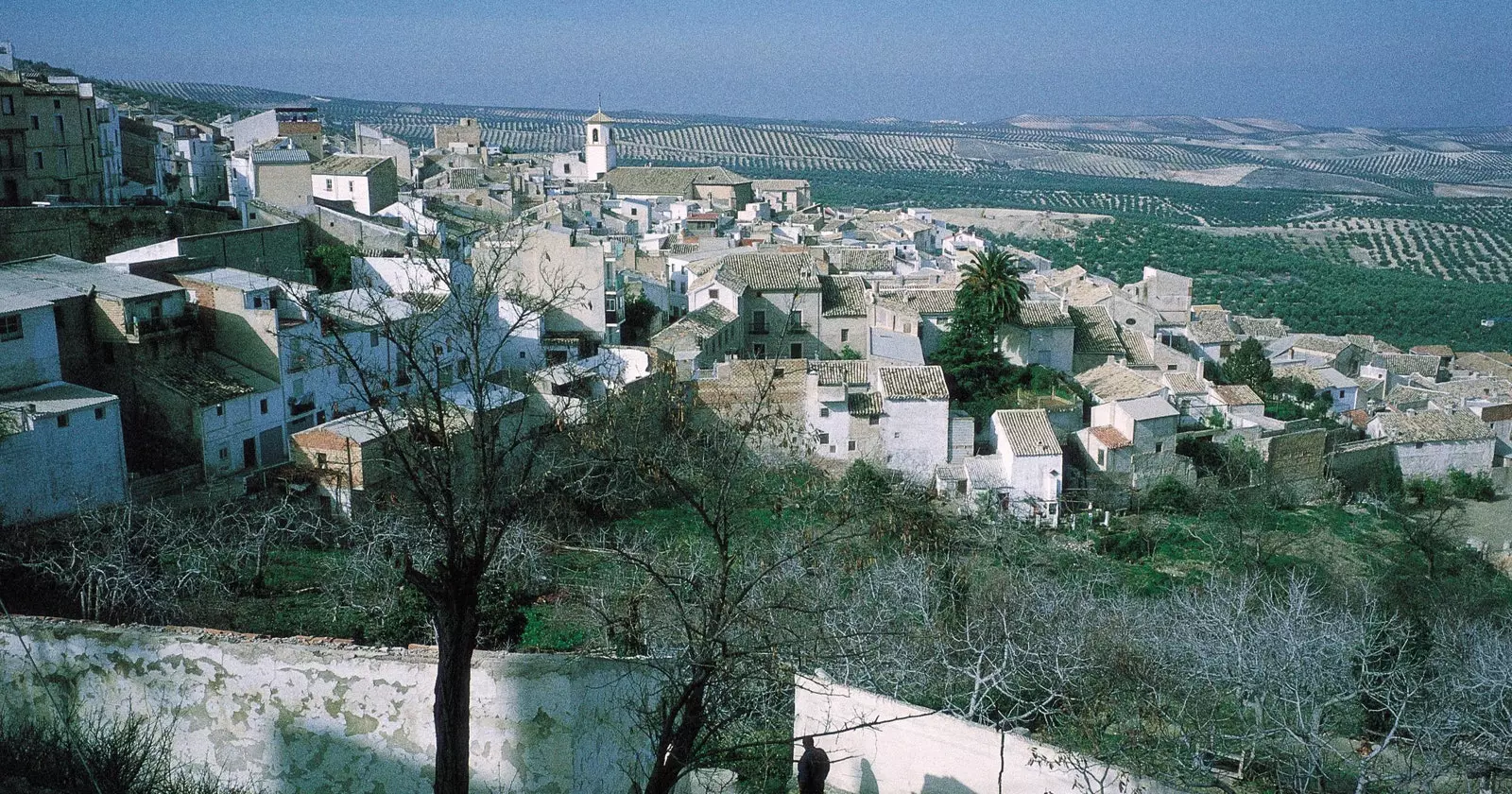 הילדה היפה של יאן