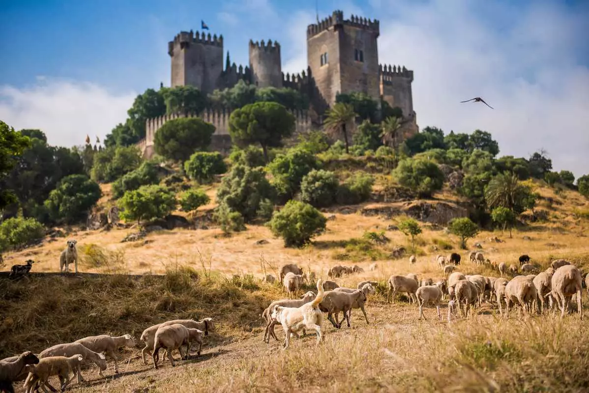 Córdoba'daki Almodóvar del Río Kalesi'nin dış görünümü.