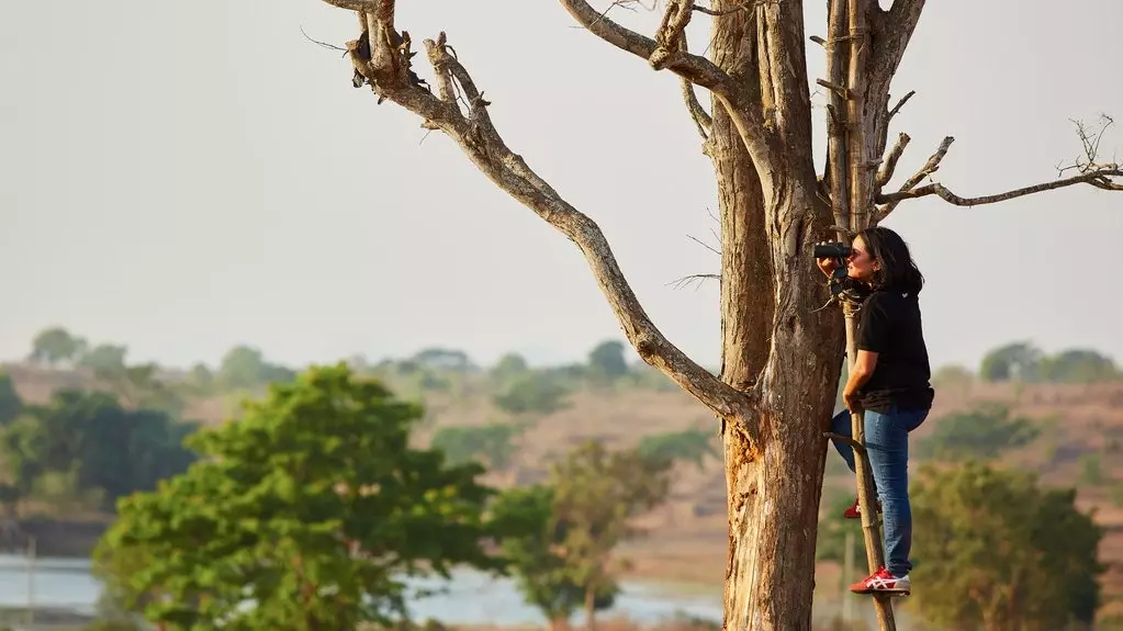 Environmental women who fight for the planet, fauna and people