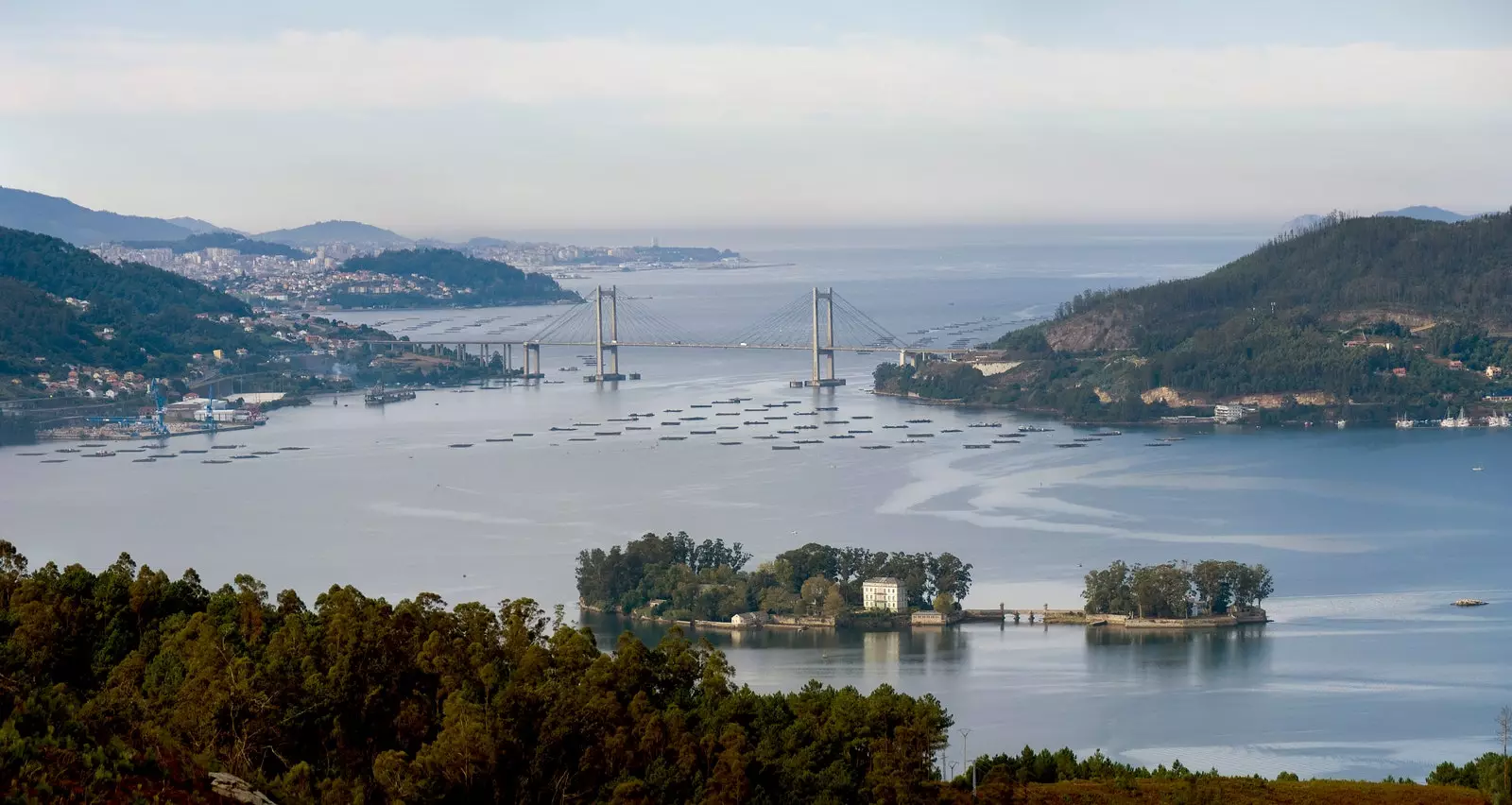 Teluk San Simón di bahagian bawah Ría de Vigo.