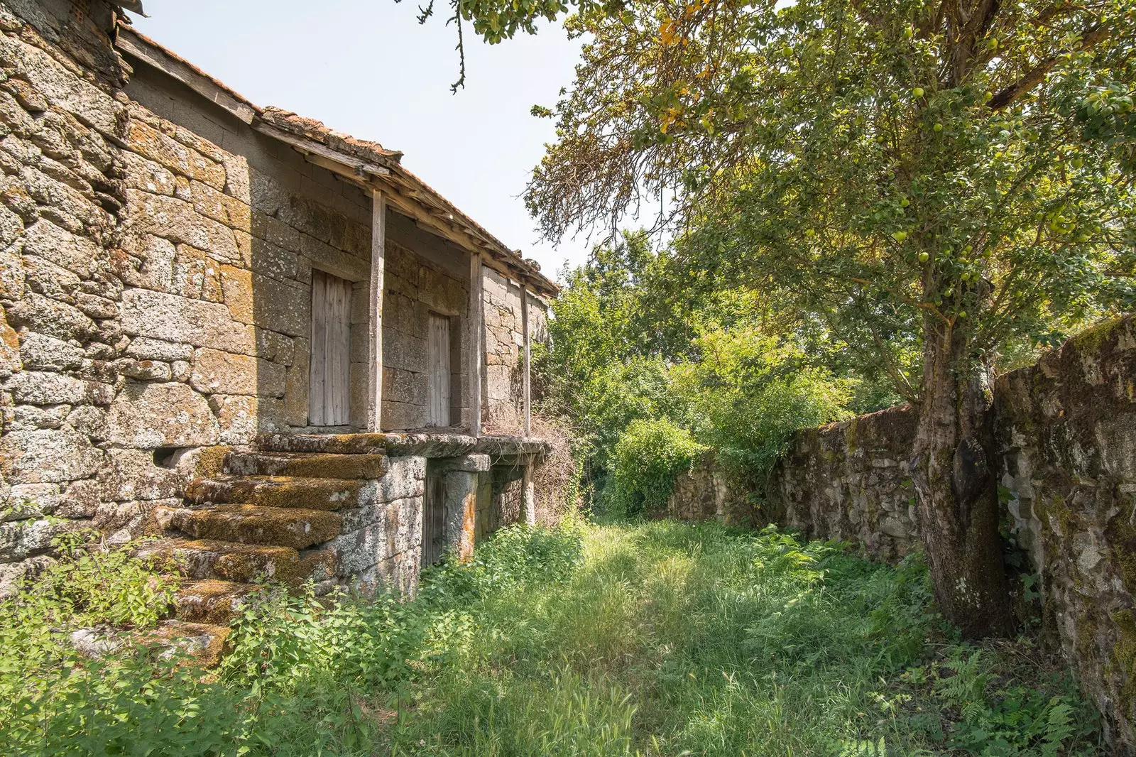 Μικτή Couto την ιστορία του τι ήταν