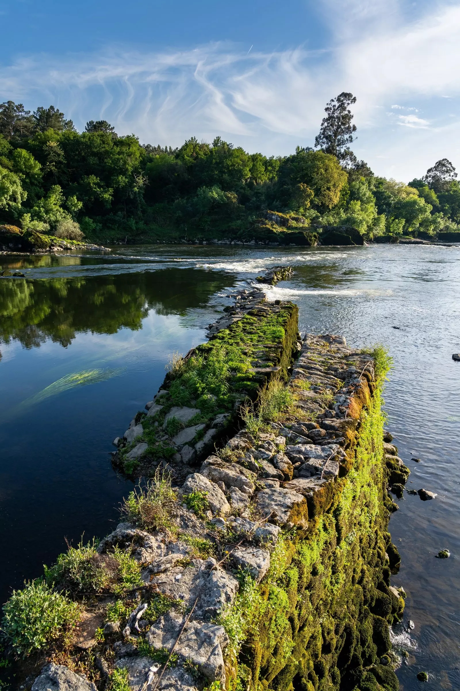 Pesqueires al riu Miño Rías Baixas.