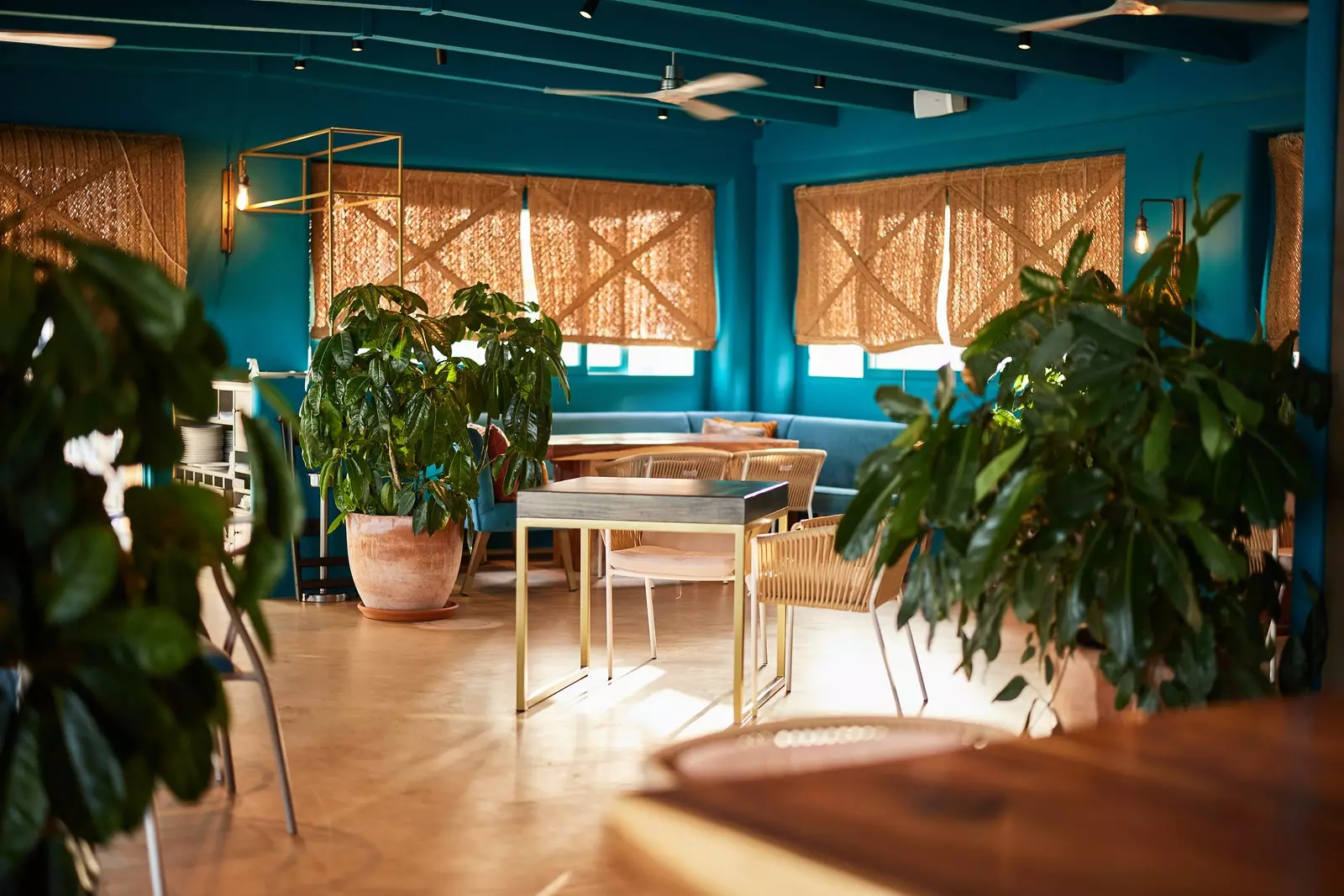 Intérieur de Cala Bandida avec parquet et tables en bois, murs turquoises, plantes d'intérieur et rideaux en osier tressé.