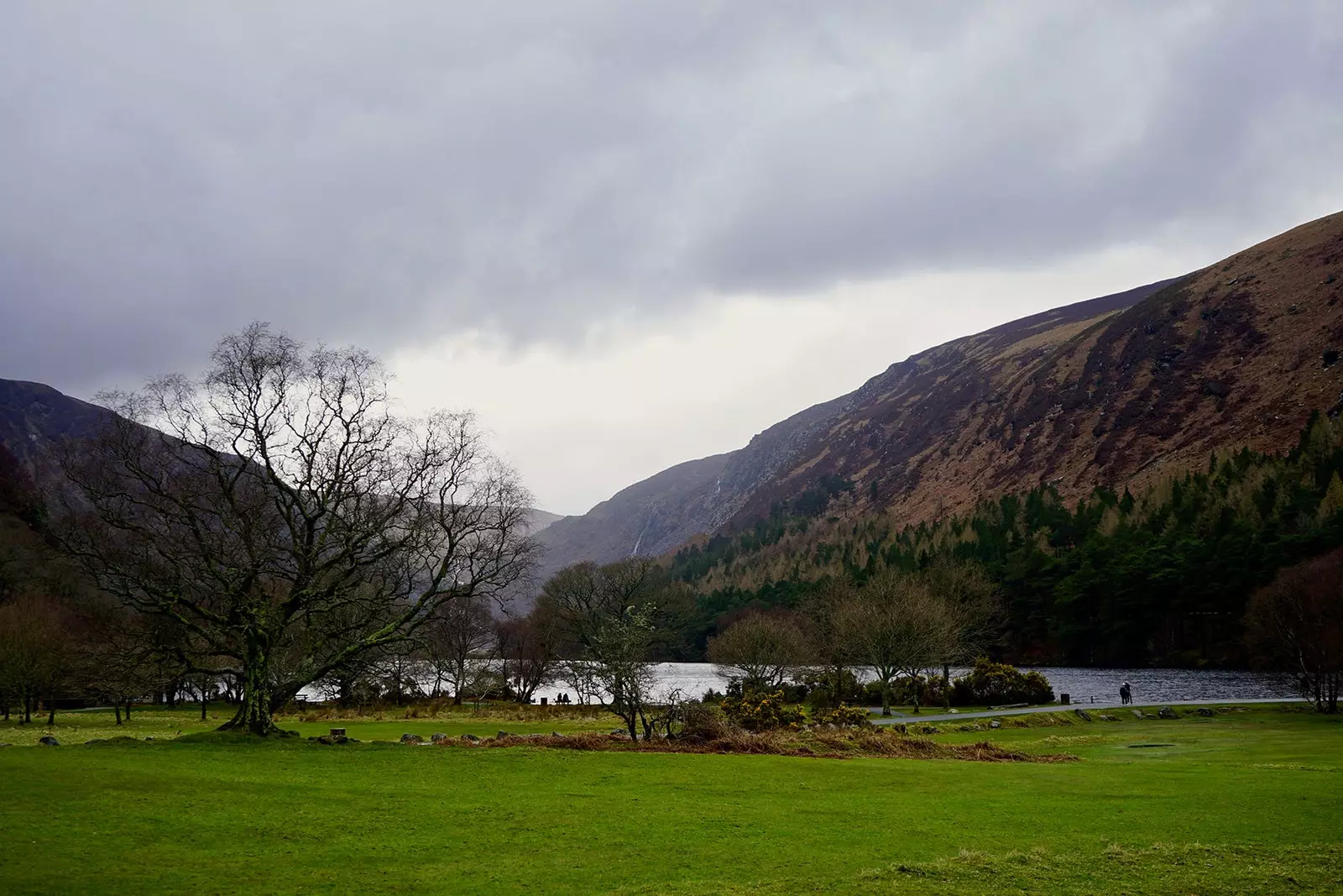 Glendalough Valley