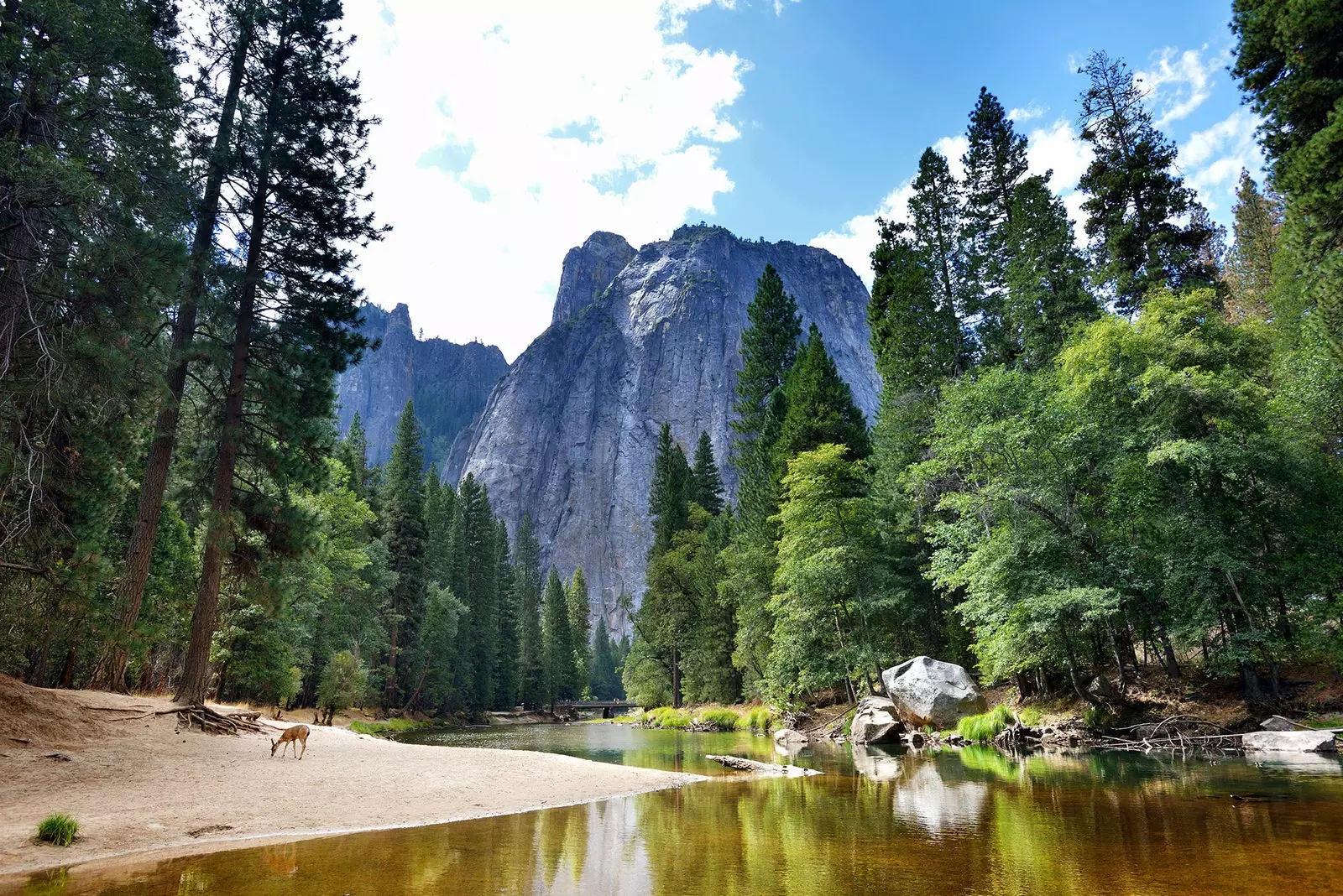 Troisième étape du road trip californien définitif