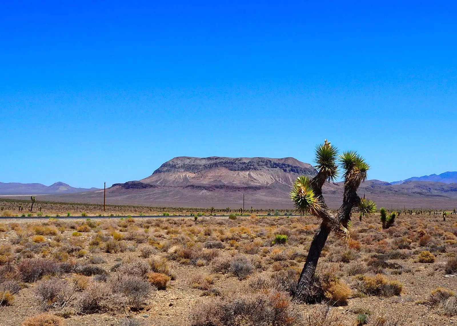 Terza tappa del definitivo road trip californiano