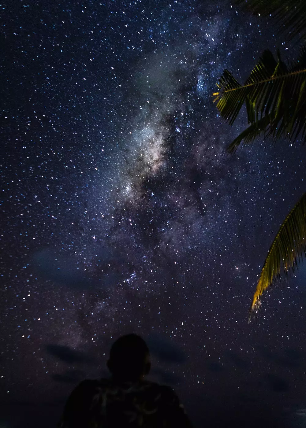 Silueta e një personi që shikon qiellin e natës në Maldive ku yjet dhe Rruga e Qumështit janë shumë të qarta