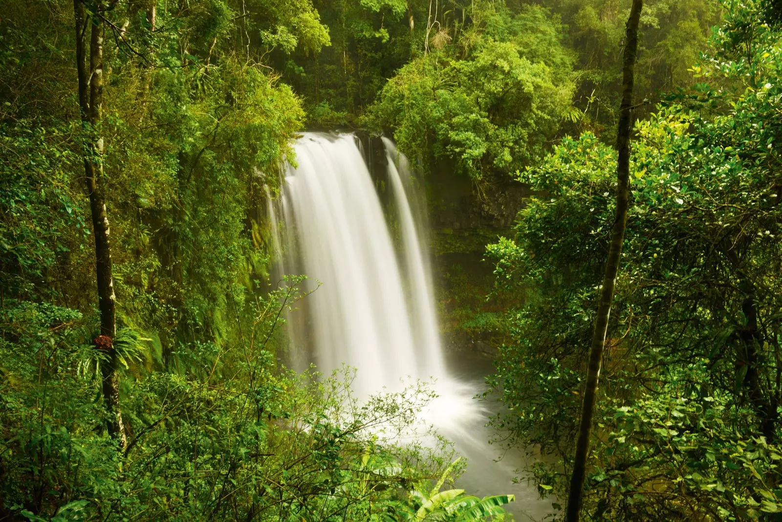 Ankarana nationalpark