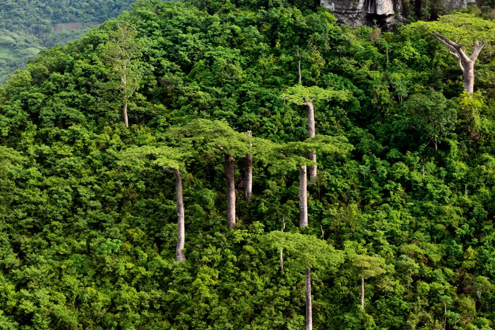 Taman Nasional Gunung Amber