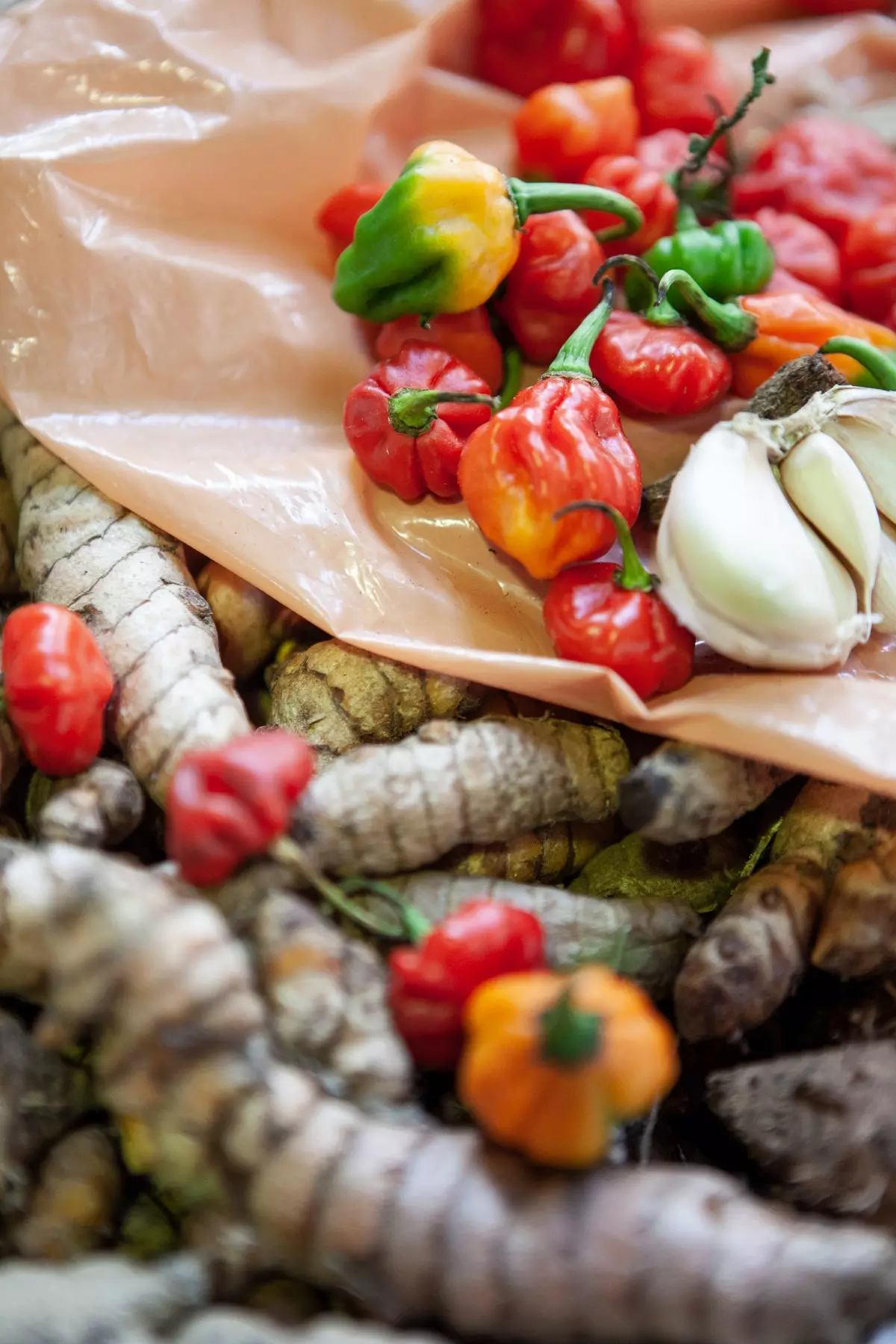 Beberapa paprika kecil dan setengah kepala bawang putih