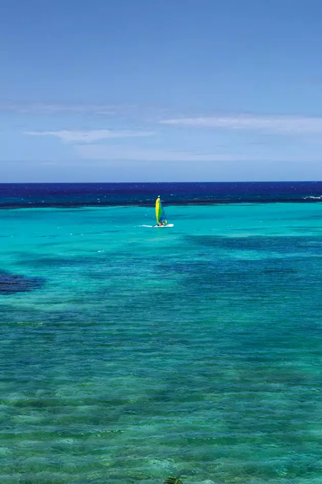 Variety of blues in Jamaica