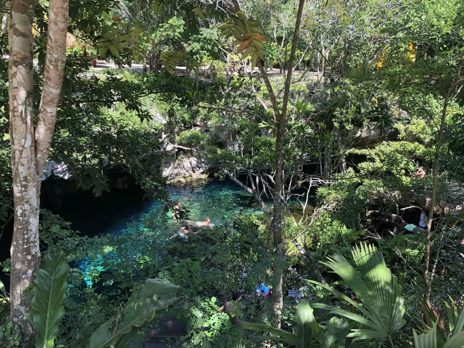 Líkaminn þinn og húðin endurnýjast þegar þú baðar þig í cenote.