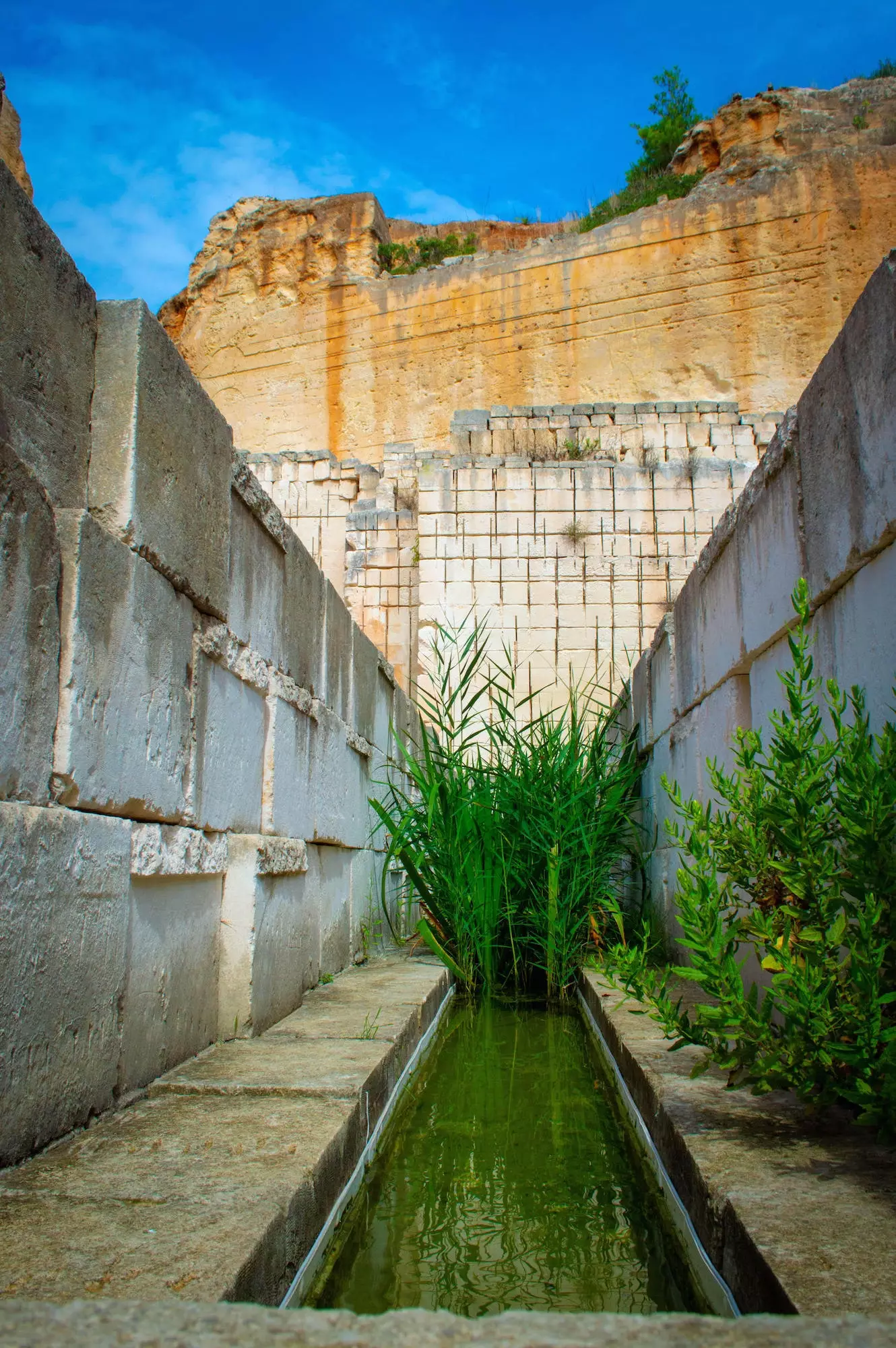 Місцеві рослини в Lithica