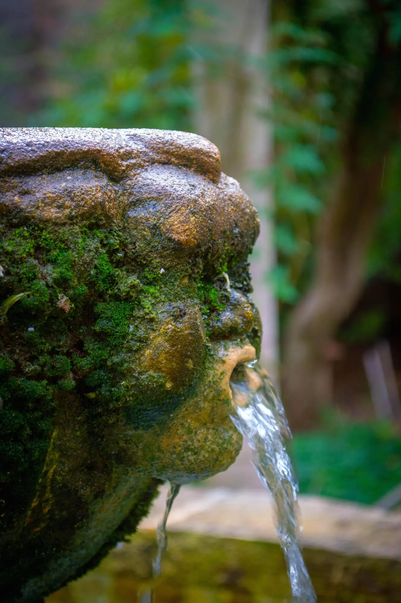 A hidden garden in Lithica