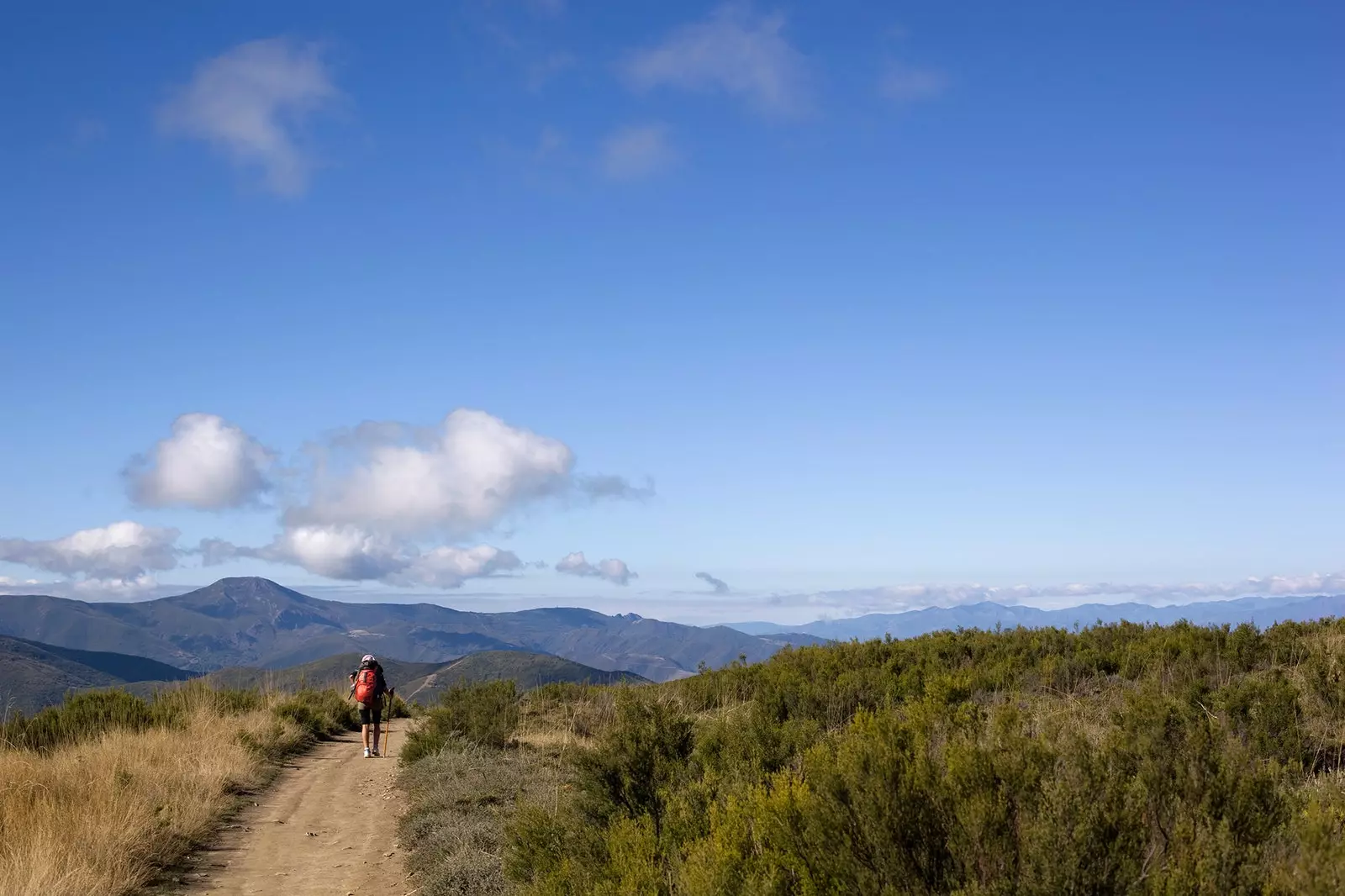 Hagnýt ráð til að gera Camino de Santiago í fyrsta skipti