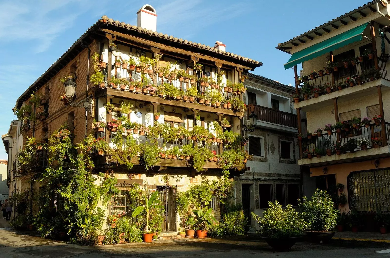 Maison des Fleurs Candeleda