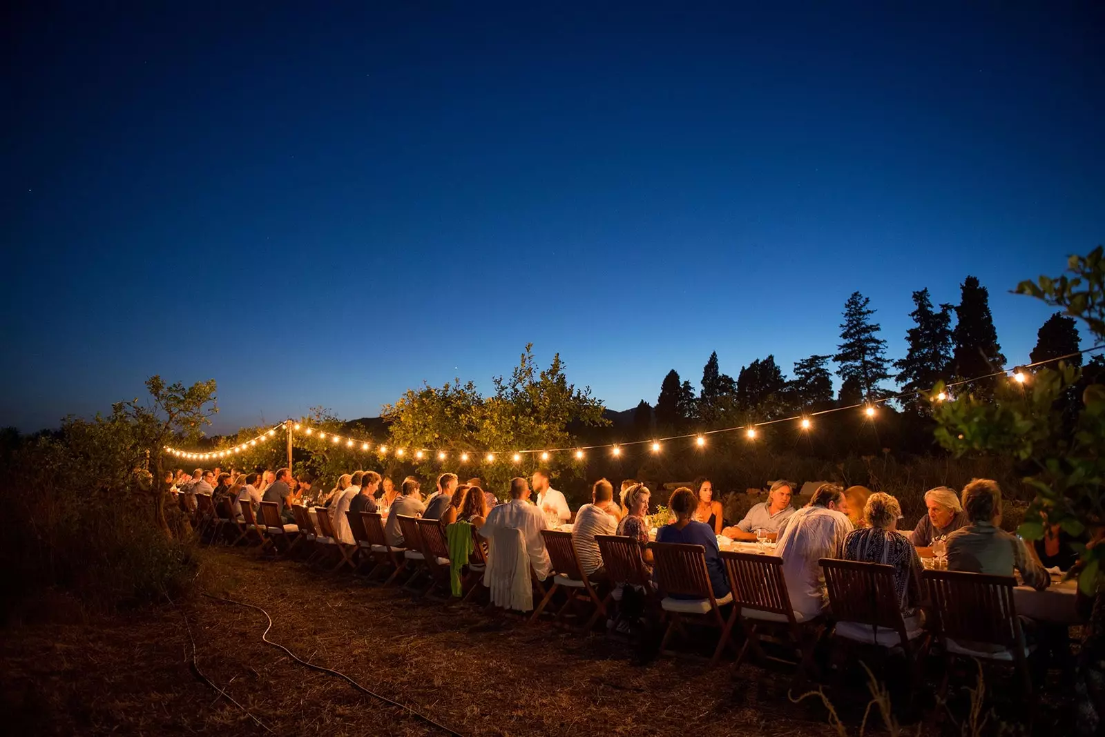 The Last Supper Club oder wie man heimliche Abendessen auf den Feldern von Ibiza genießt