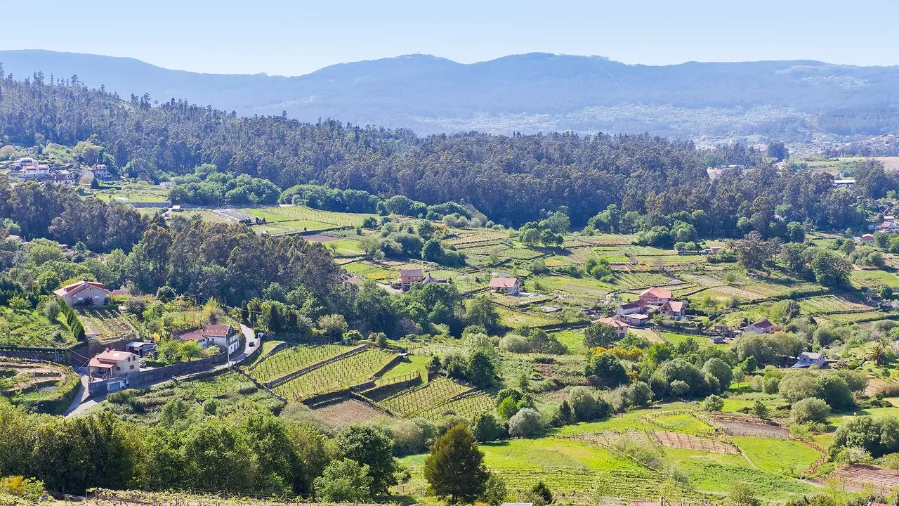 Zašto moramo ići na piće u Rias Baixas