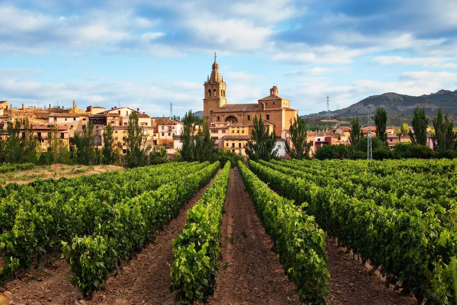 Haro et ses vignes