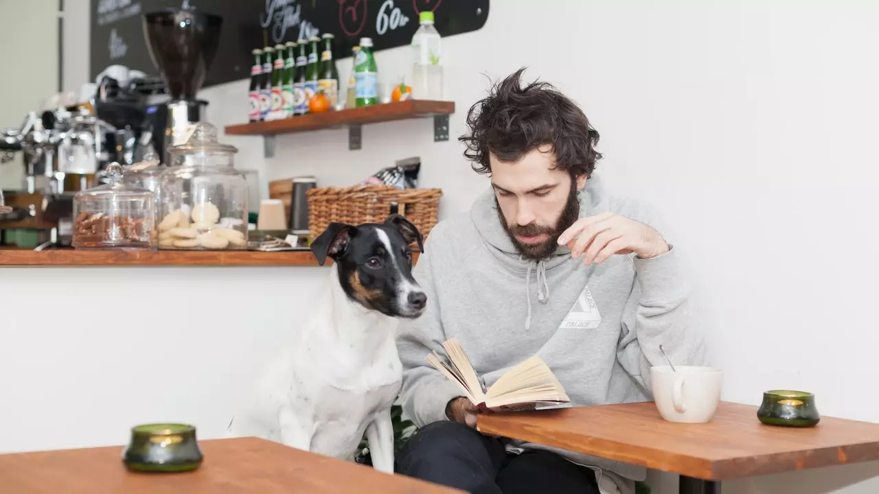 Kafenetë më të mira letrare në Spanjë