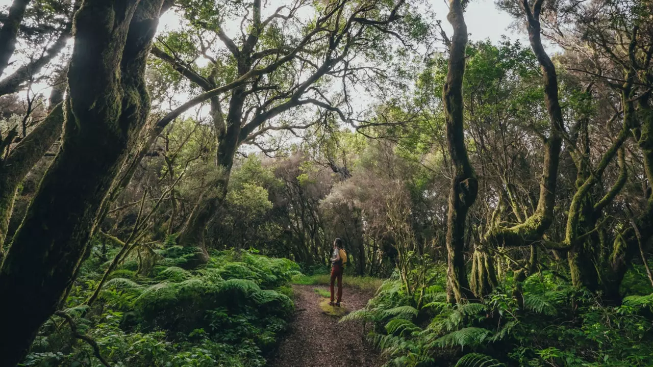 Will El Hierro be the first Spanish island to be 100% sustainable?