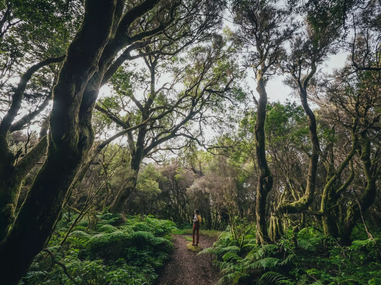 El Hierro den mest bæredygtige ø i Spanien.