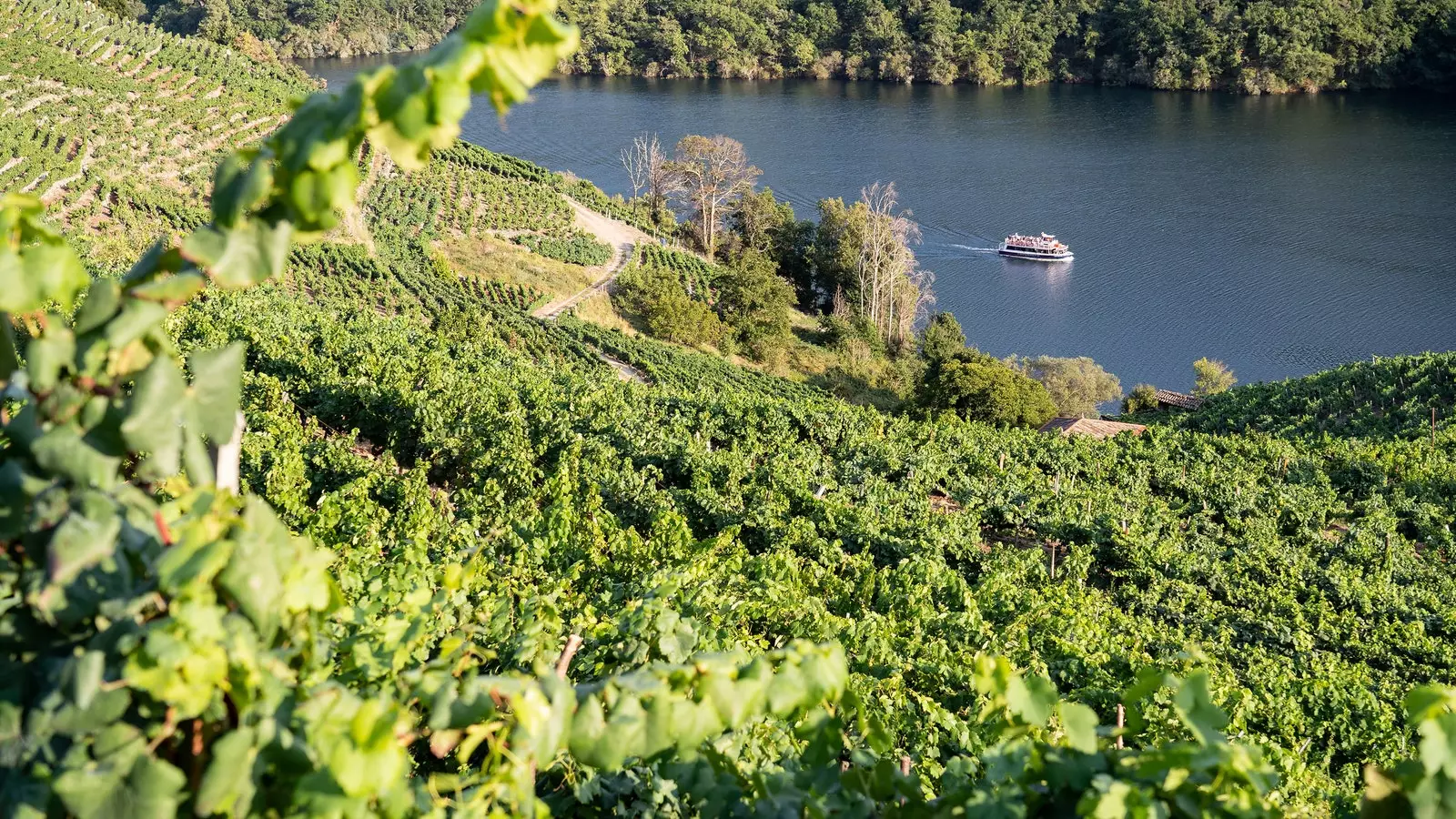 Ribeira Sacra