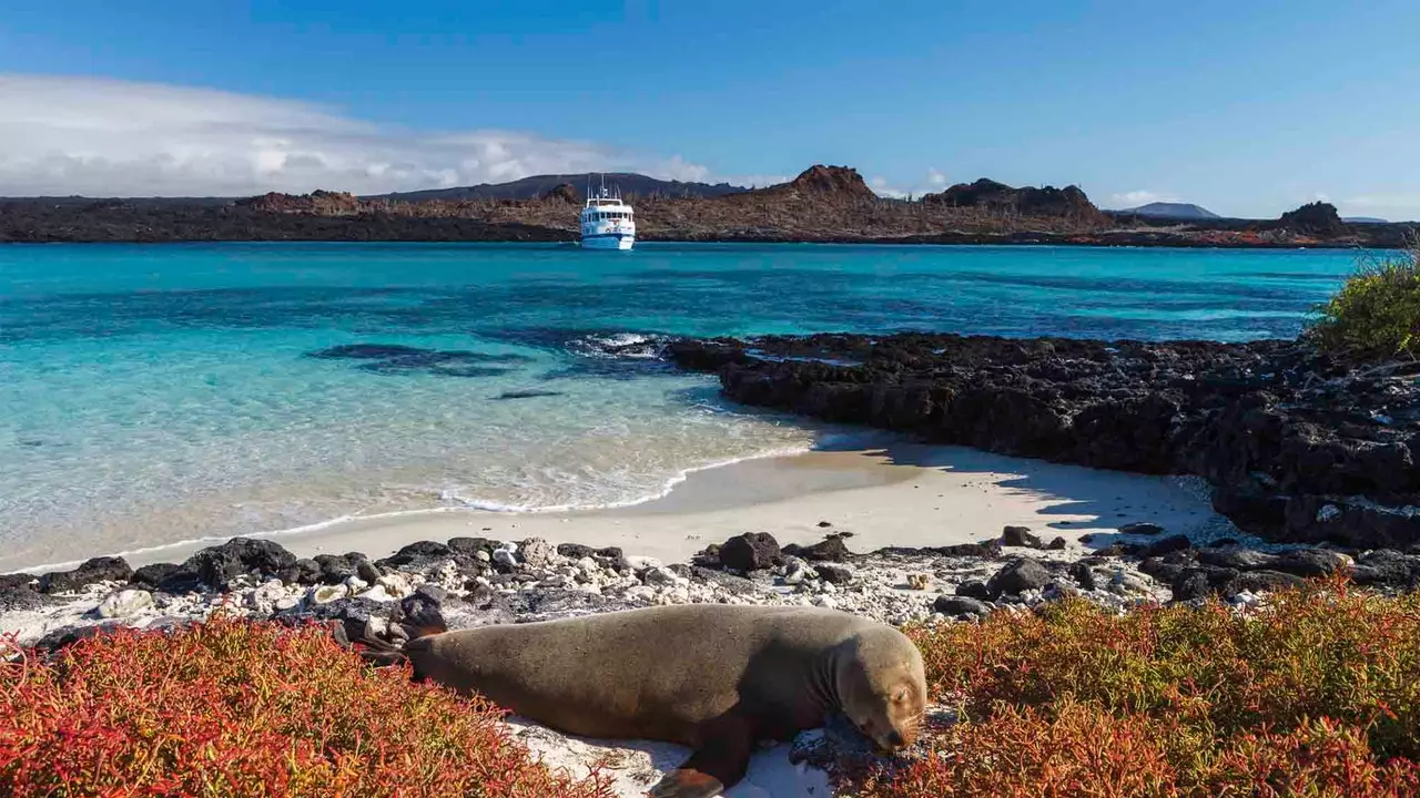 Darwinsk krydstogt, en rejse gennem de ældste øer på Galapagos