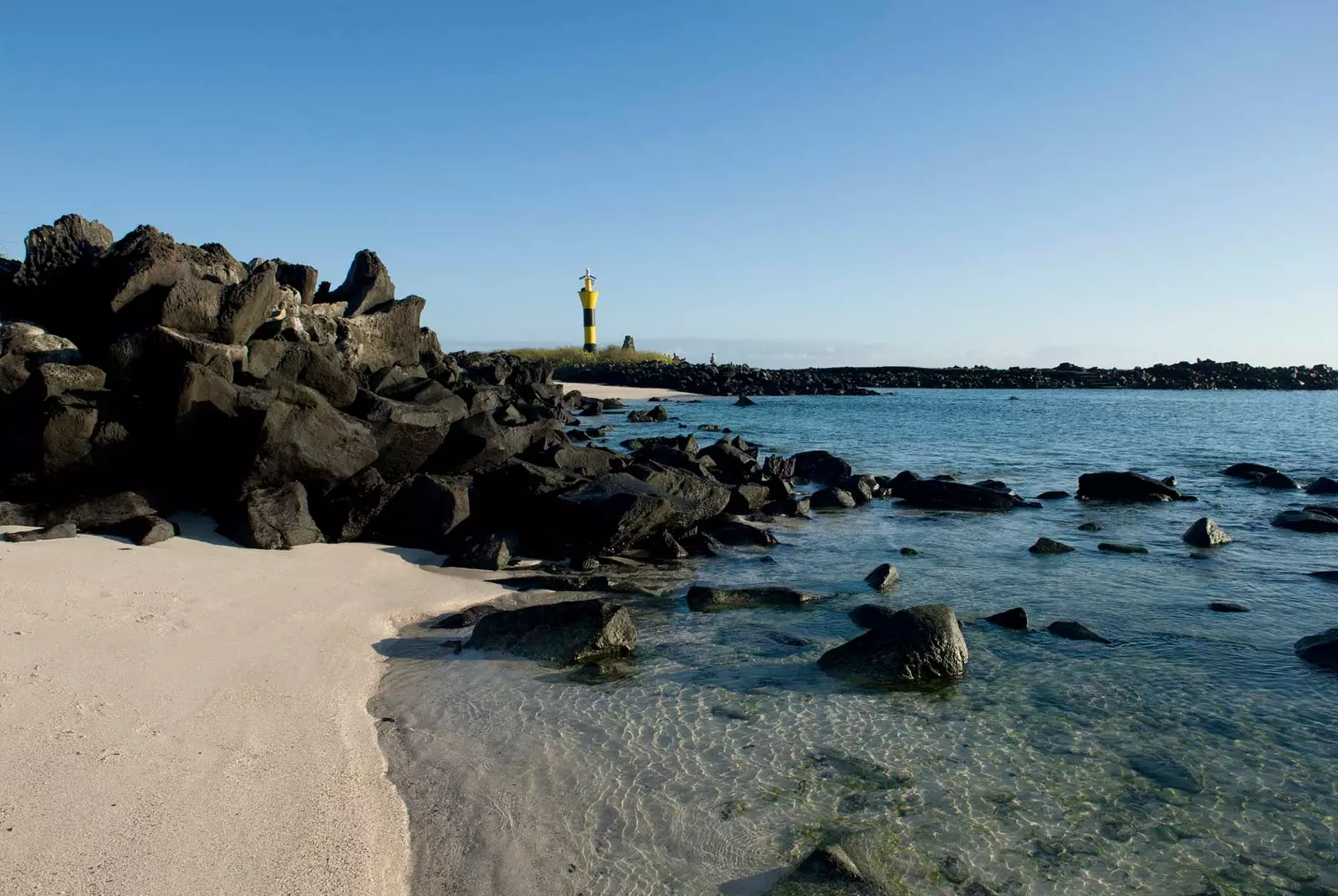 Roca volcnica a Punta Surez