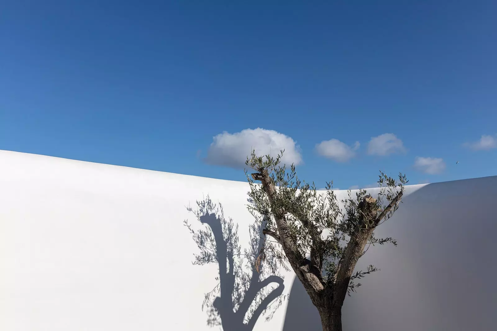 Detalj av Kalesma Mykonos