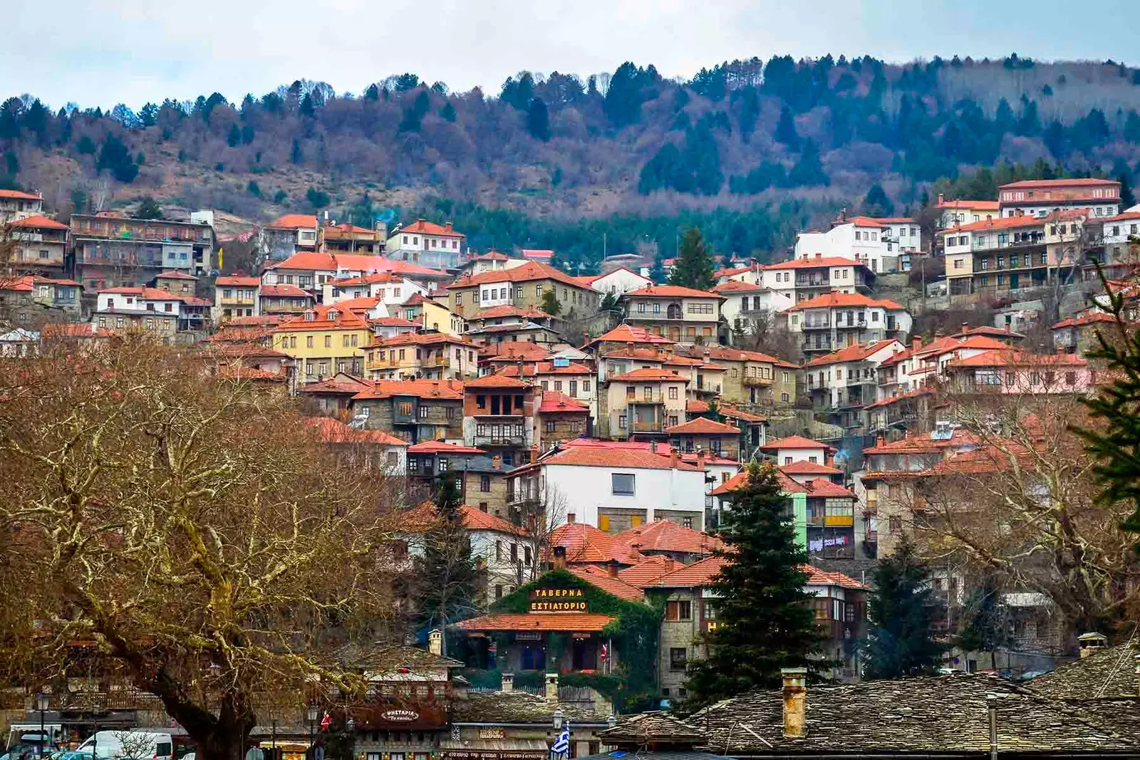 Metsovo et captivar