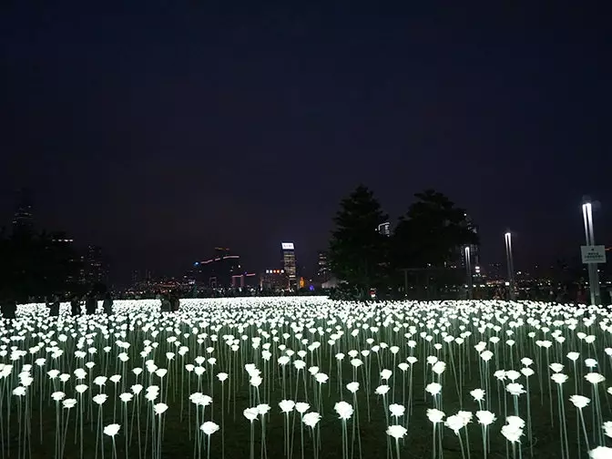 Jardim para sempre