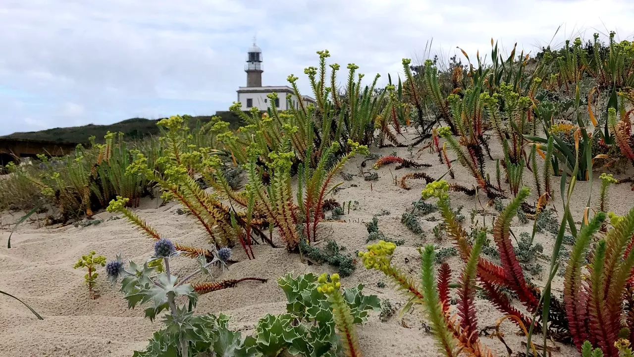 Faro Lariño: the hotel that will make you dream of Galicia