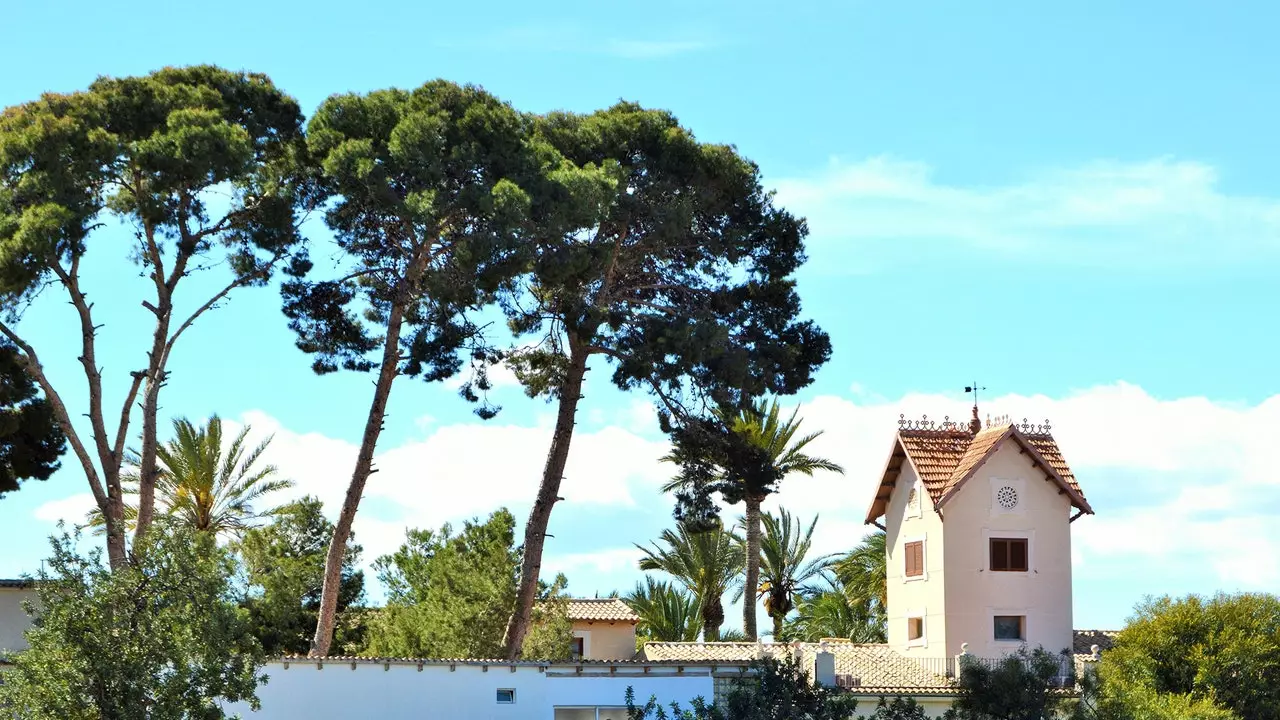 L'Horta d'Alacant: puutarhan ilo Alicantessa