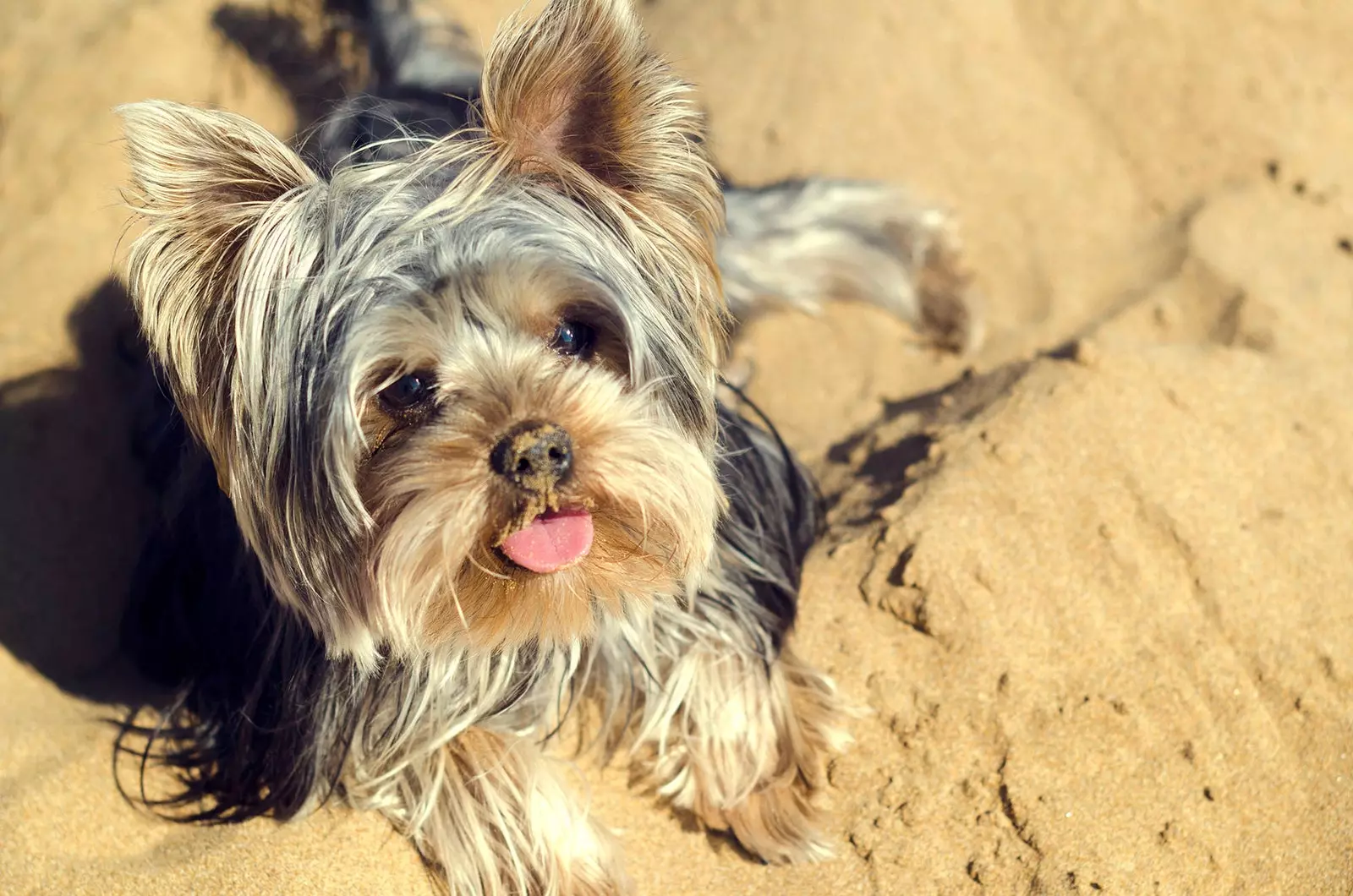 na którą plażę idziemy?