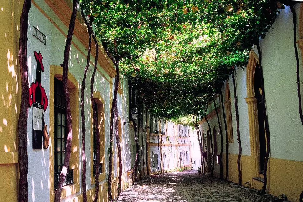 Bodegas González Byass