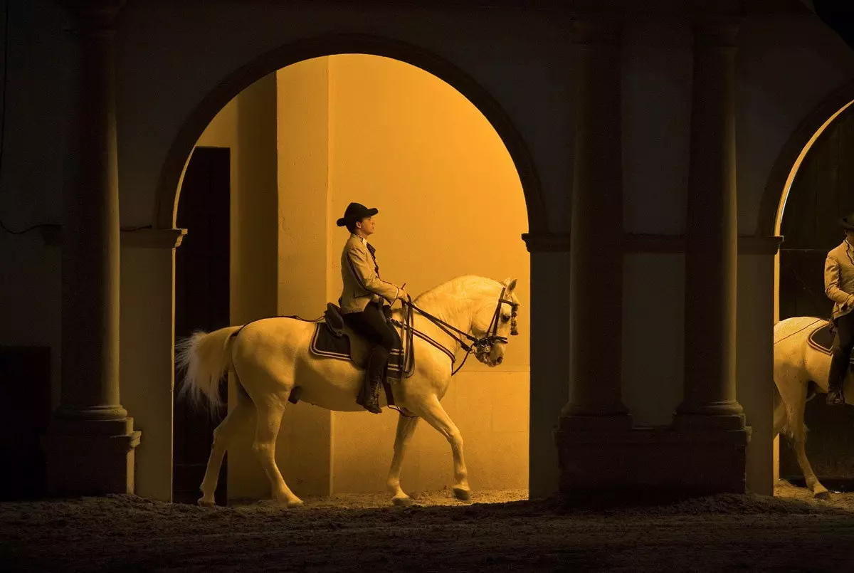 Royal Andalusian School of Equestrian Art