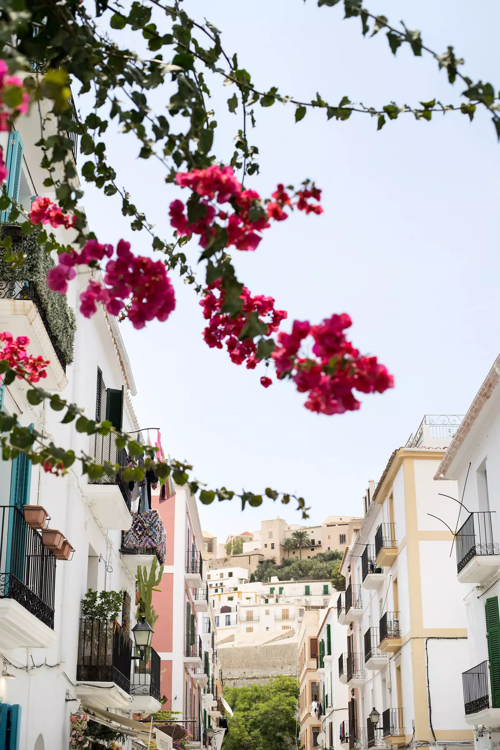 A Dalt Vila Bougainvillea uralkodik itt