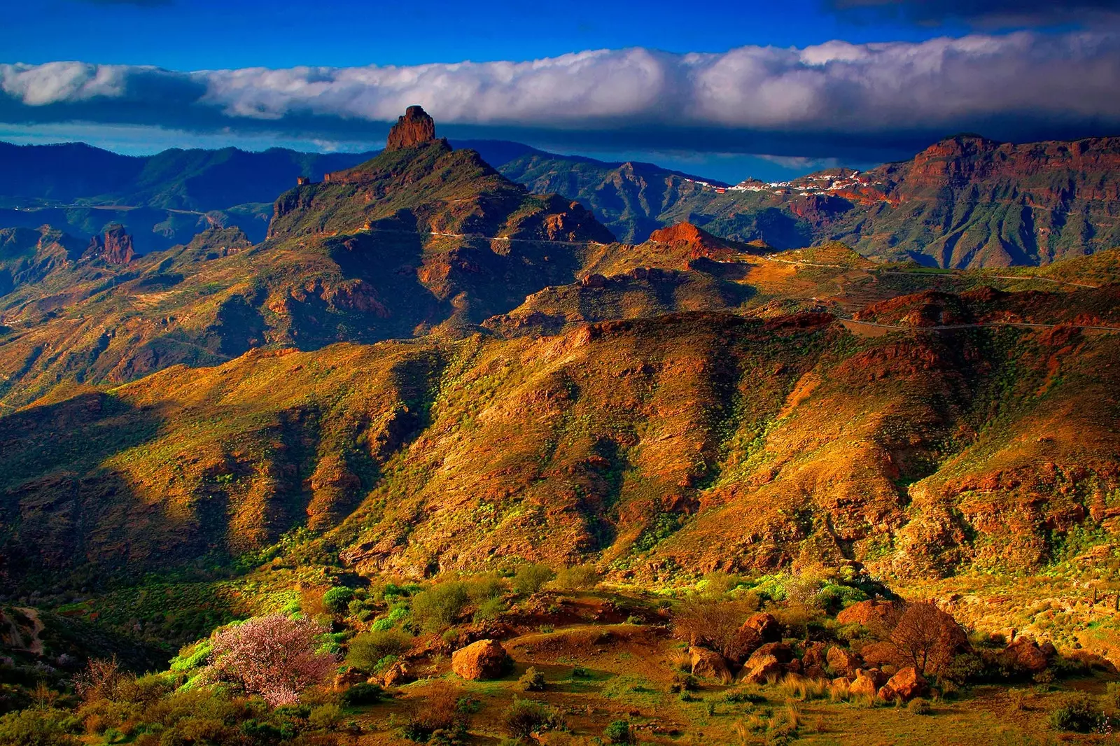 یکی از مناطق حفاظت شده Mogn Parque Rural del Nublo