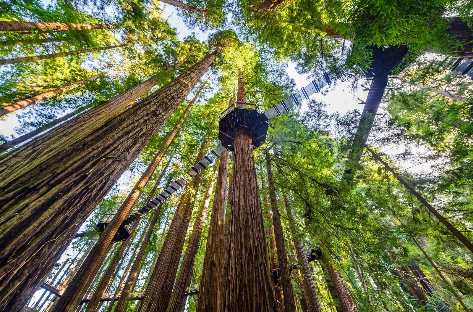 Questa è la nuova passerella più lunga sulla costa occidentale degli Stati Uniti