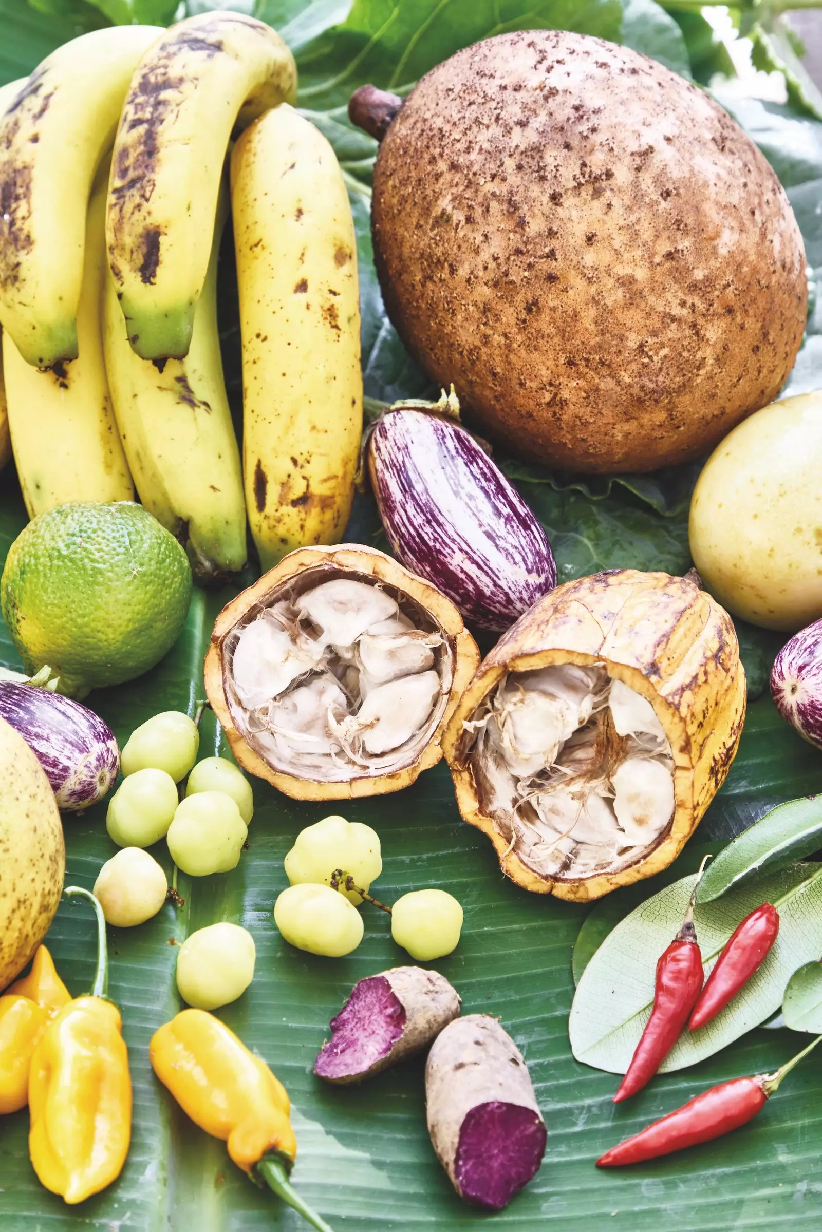 Selection of fruit grown in Carite.