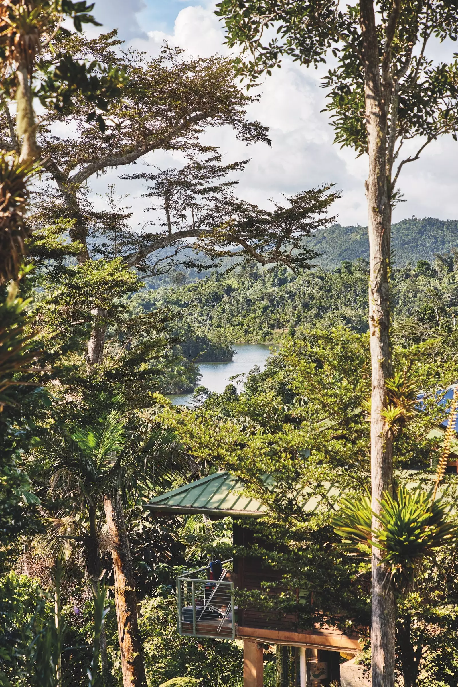 Views of the lake from Carite.