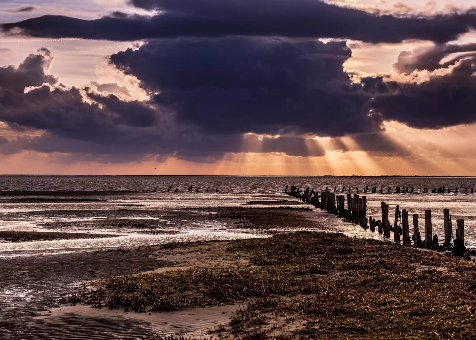 Nacionalni park Wadden Sea